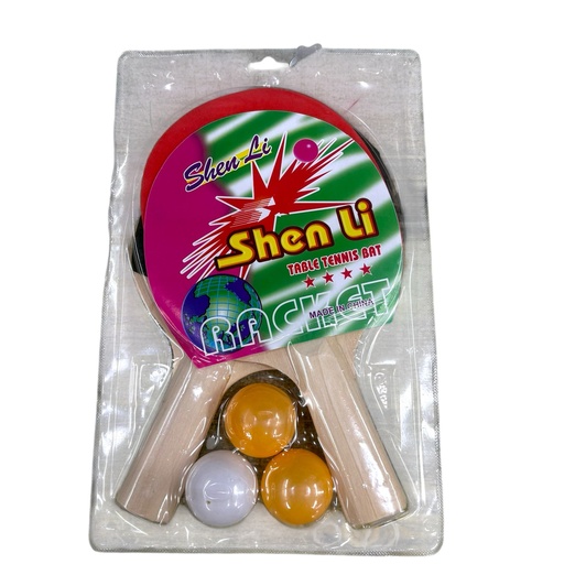 [20513] JUEGO DE PING PONG